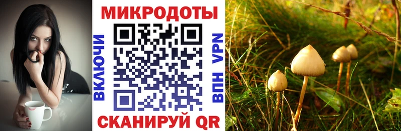 MEGA как зайти  Сенгилей  Галлюциногенные грибы ЛСД  магазин продажи  